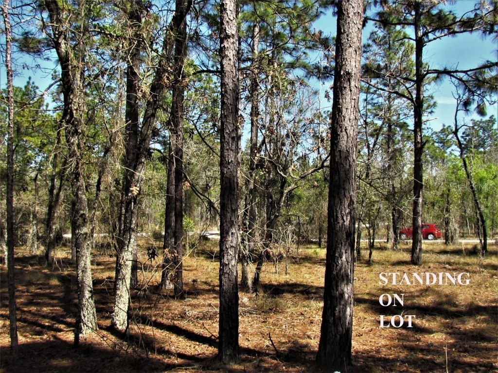 Lombardy Lane Dunnellon FL 34431 TB8418738 image4