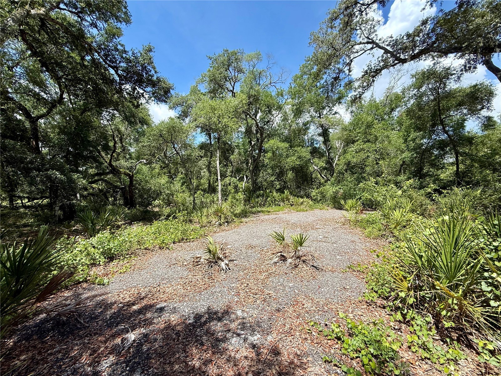 Long Circle Webster FL 33597 W7886174 image2