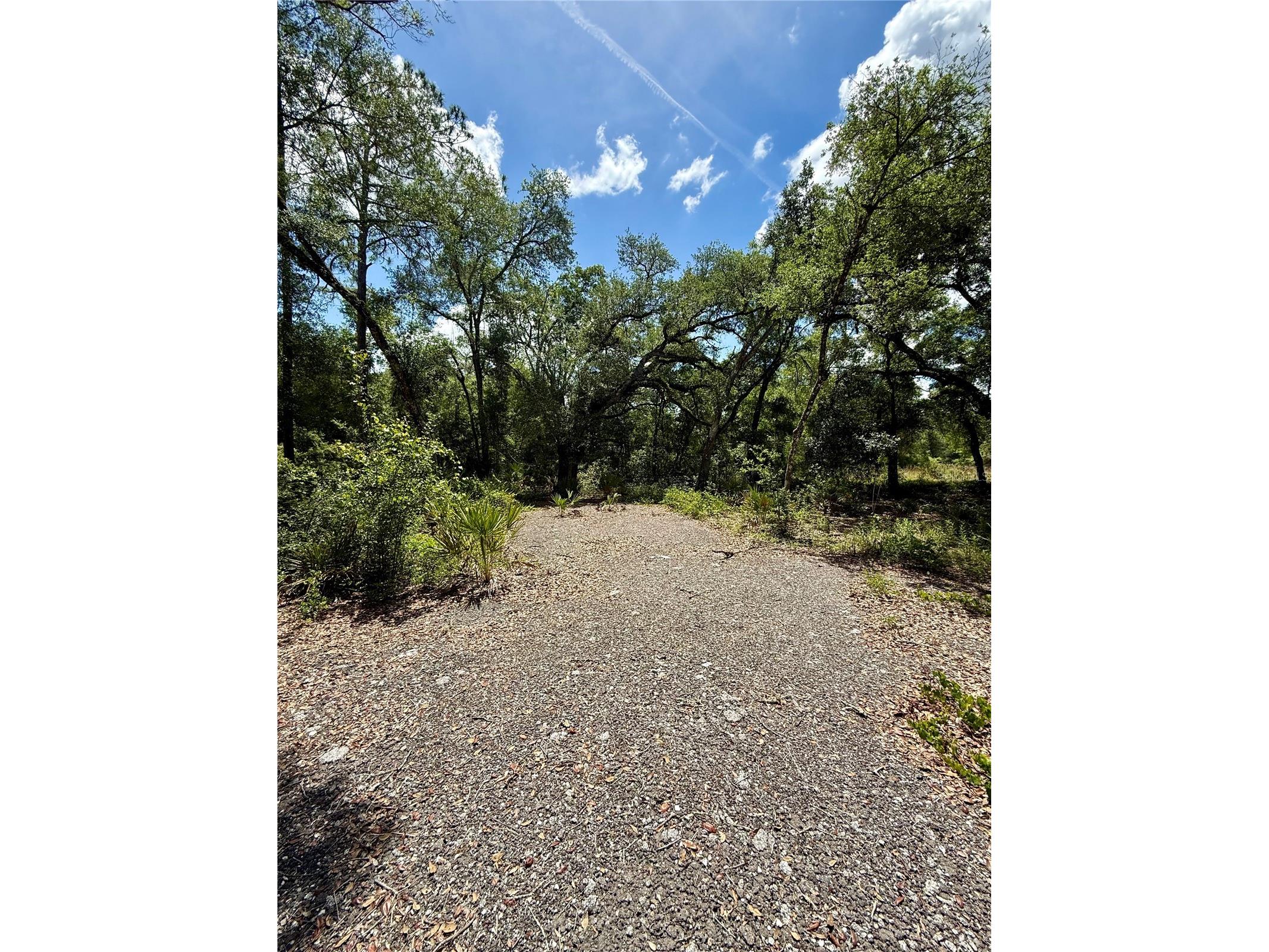 Long Circle Webster FL 33597 W7886174 image3