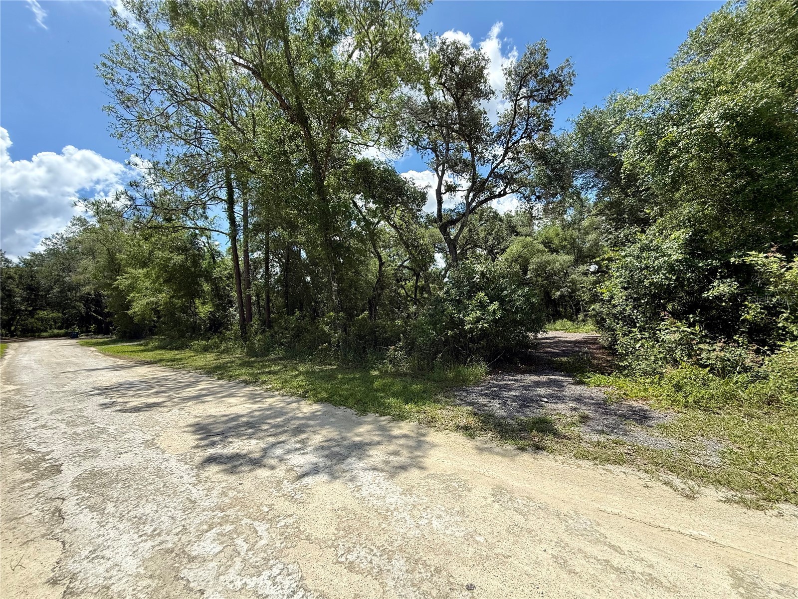 Long Circle Webster FL 33597 W7886174 image5