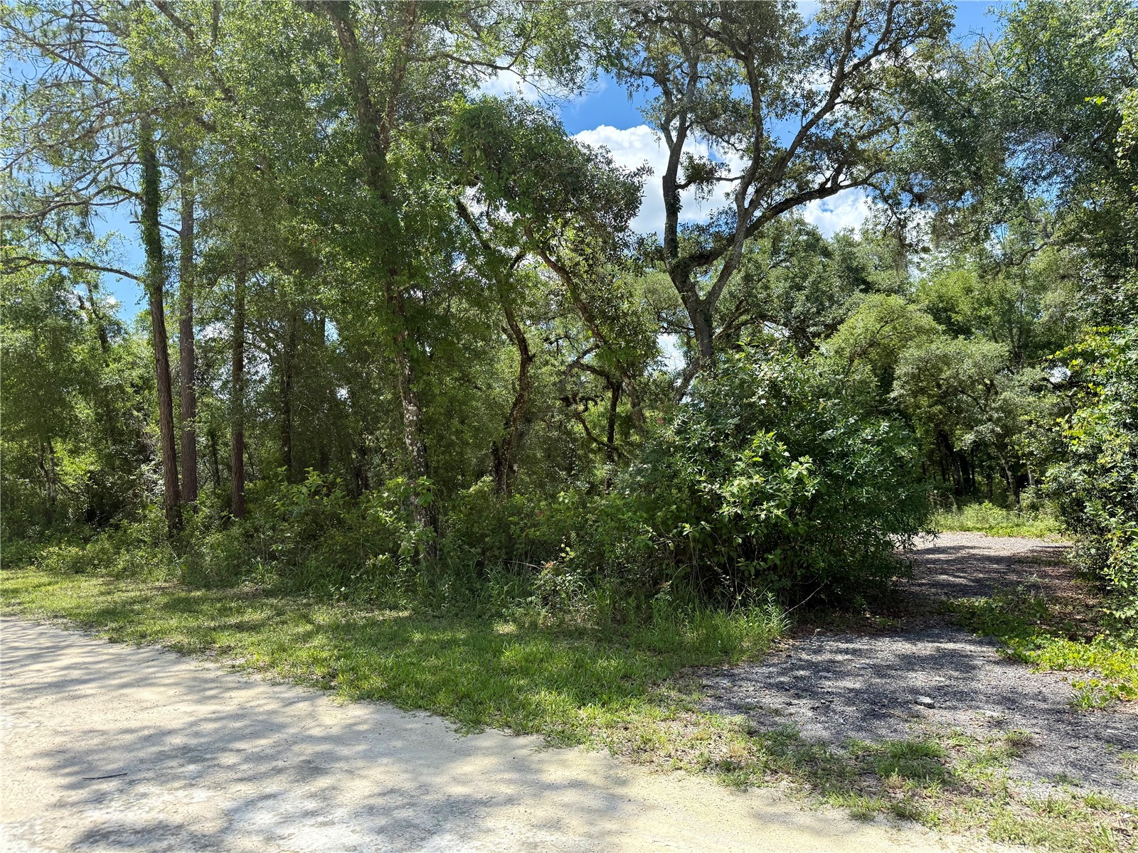 Long Circle Webster FL 33597 W7886174 image6
