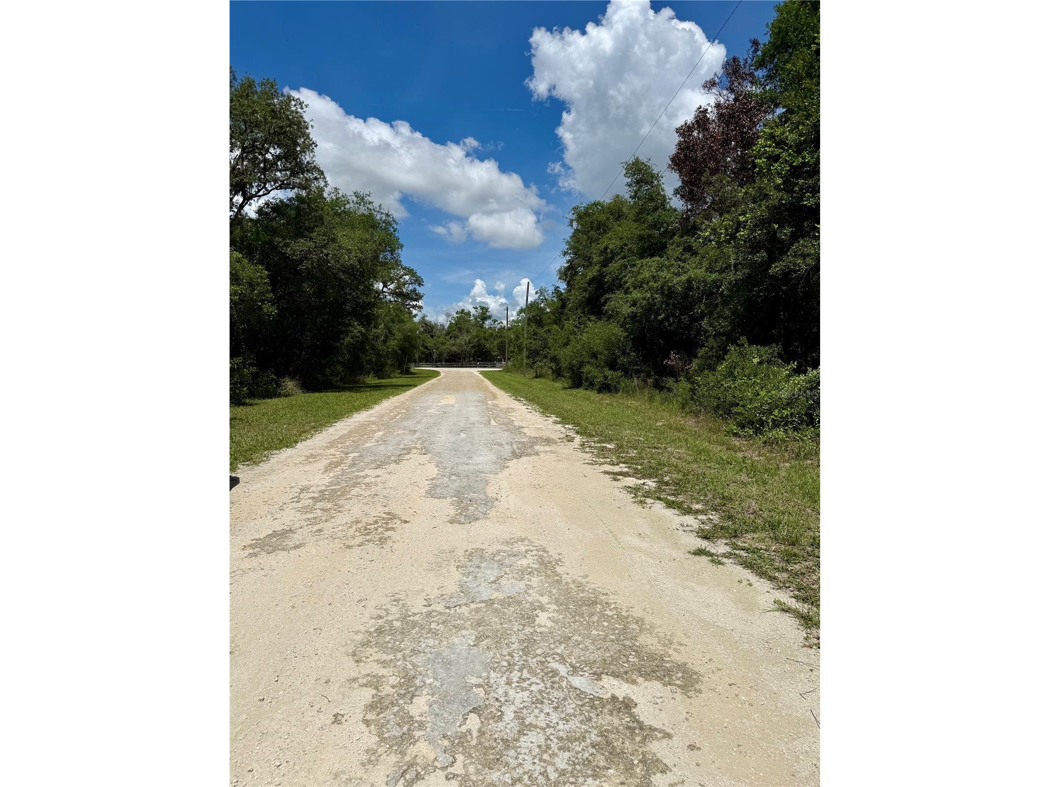 Long Circle Webster FL 33597 W7886174 image8