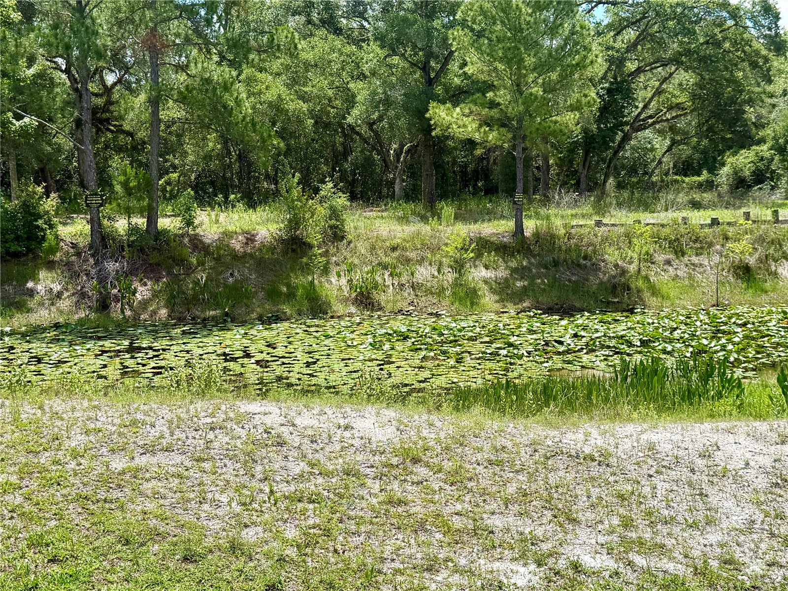 Long Circle Webster FL 33597 W7886174 image9