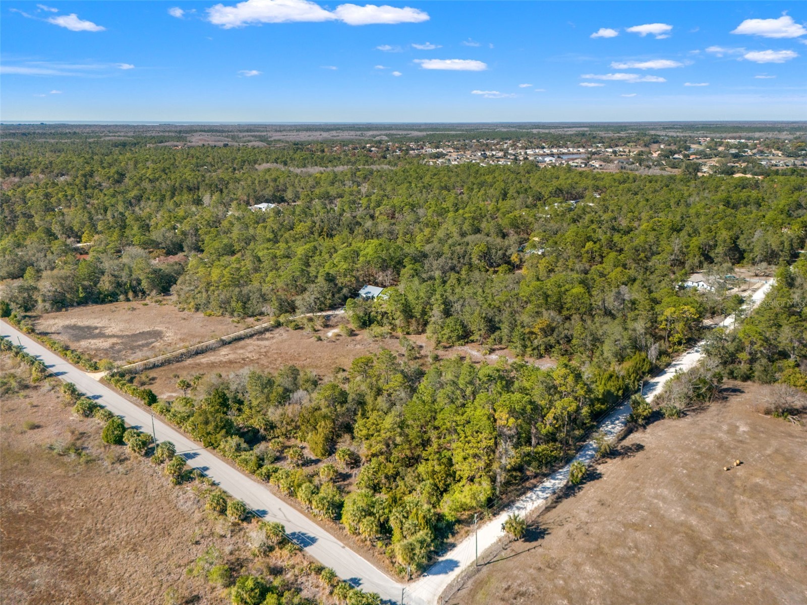 Long Lake Avenue Weeki Wachee FL 34613 TB8467437 image4