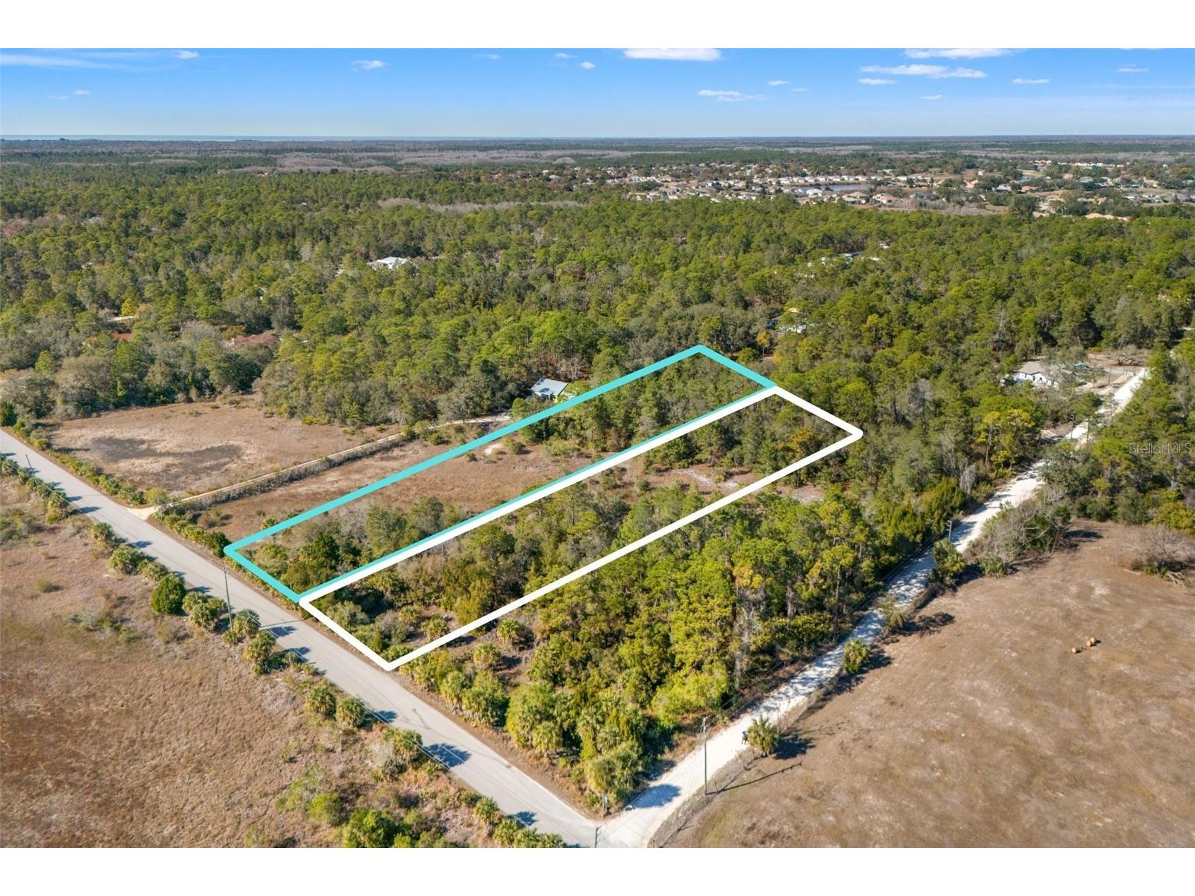 Long Lake Avenue Weeki Wachee FL 34613 TB8467437 image7