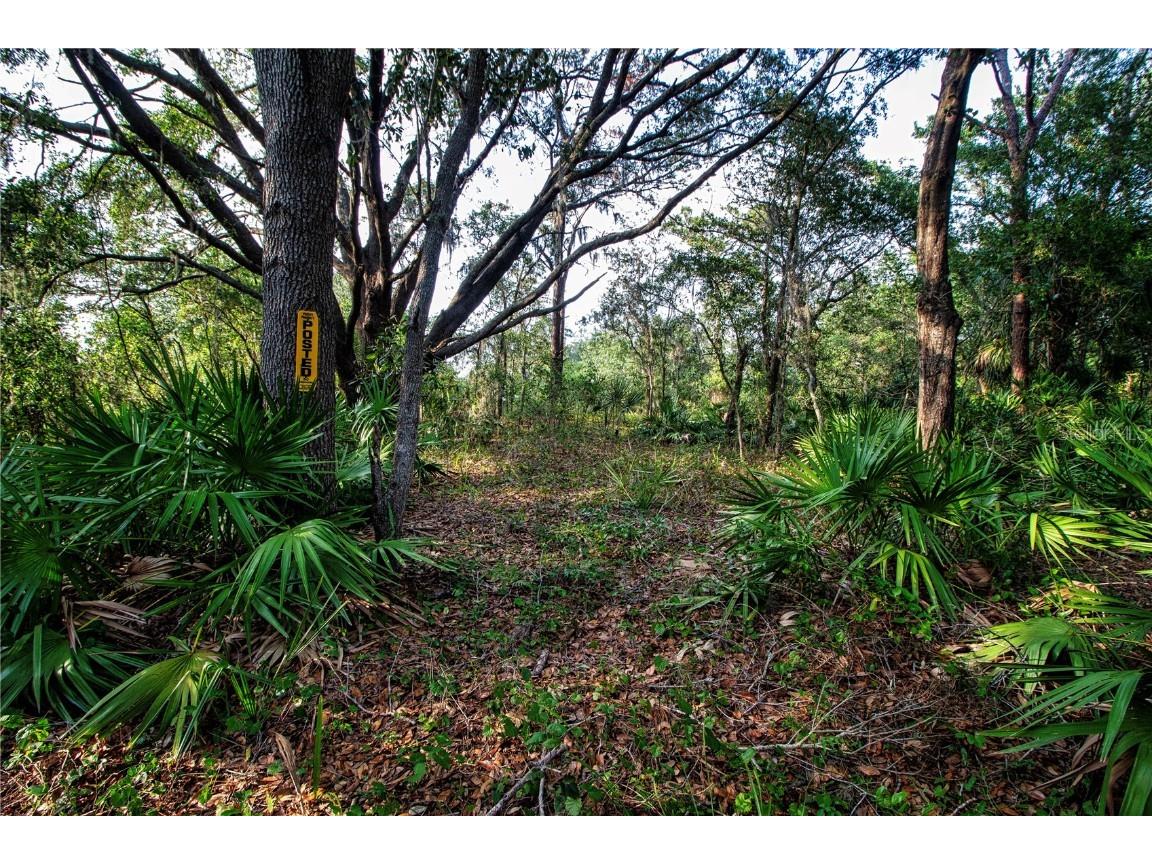 Long Rifle Wimauma FL 33598 - LITTLE MANATEE RIVER T3444865 image1