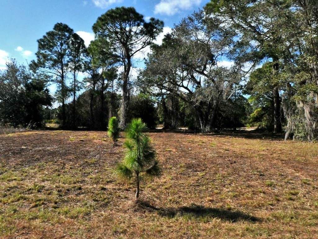 Longfellow Lane North Port FL 34288 A4659194 image1