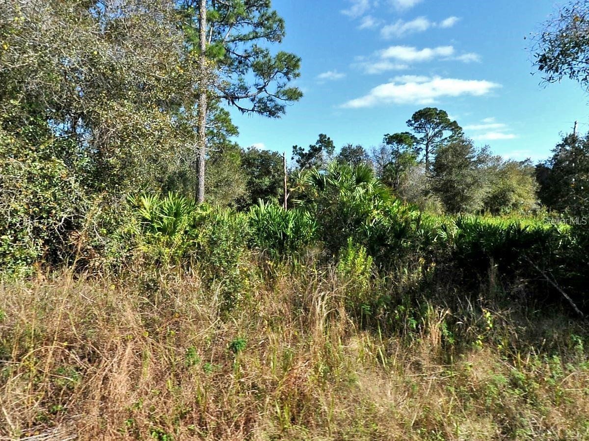 Longfellow Lane North Port FL 34288 D6146513 image3