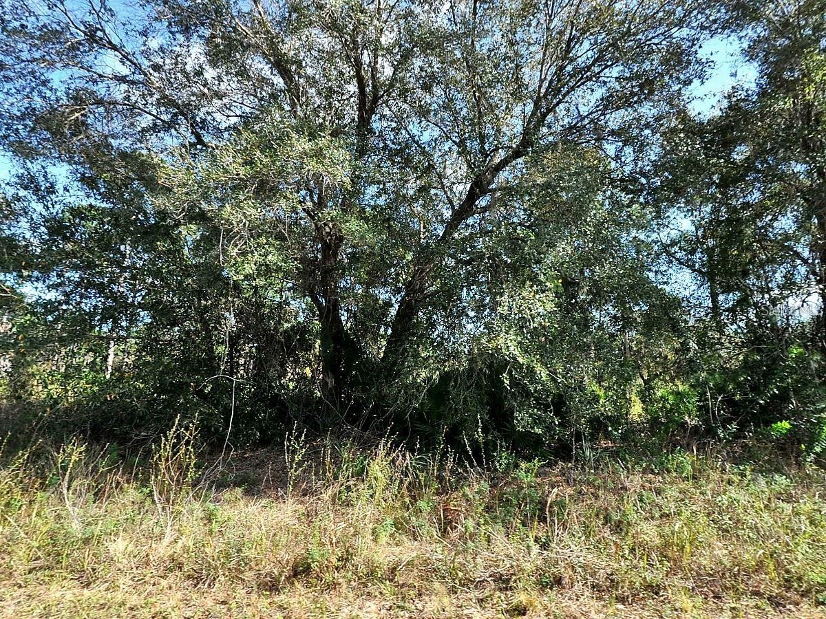Longfellow Lane North Port FL 34288 D6146540 image3