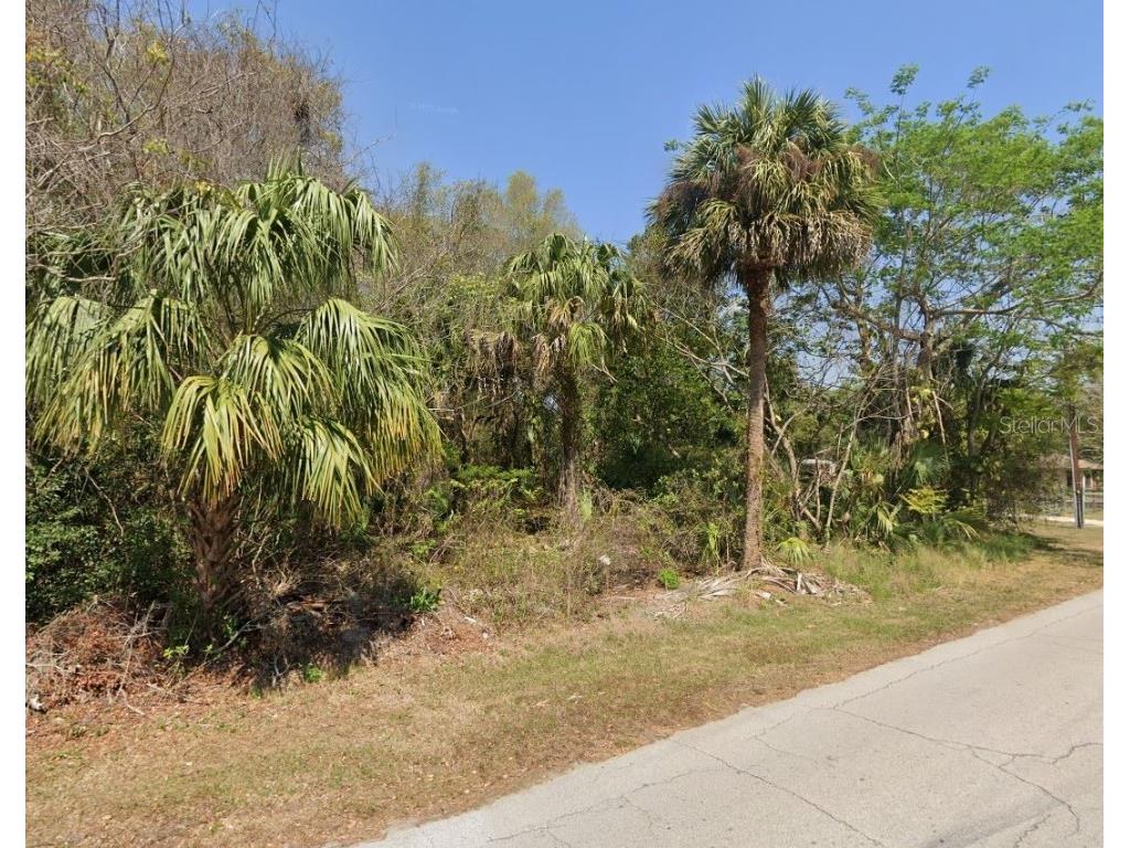 Longwood Drive Osteen FL 32764 O6295050 image1