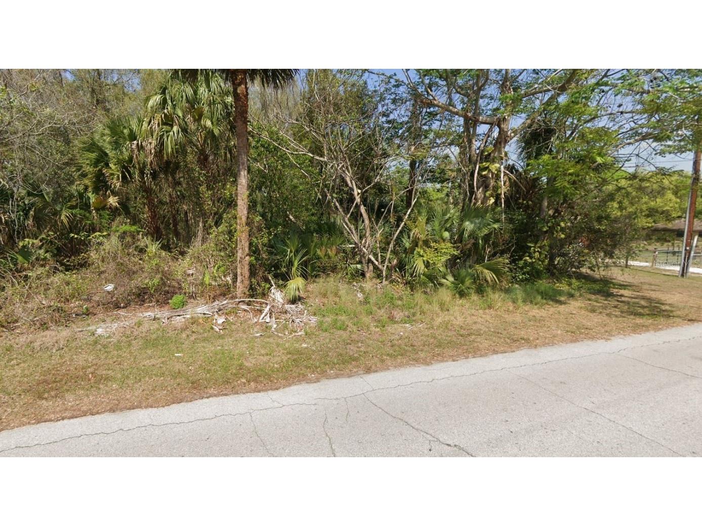 Longwood Drive Osteen FL 32764 O6295050 image3