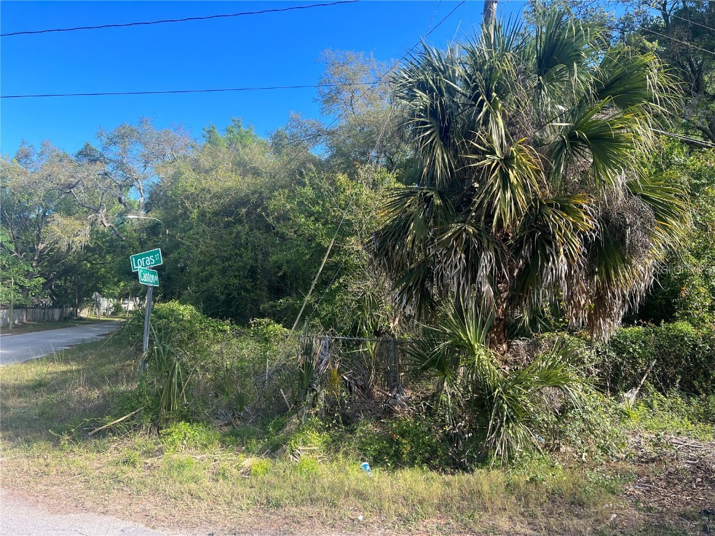 Loras Street New Port Richey FL 34654 T3445138 image1