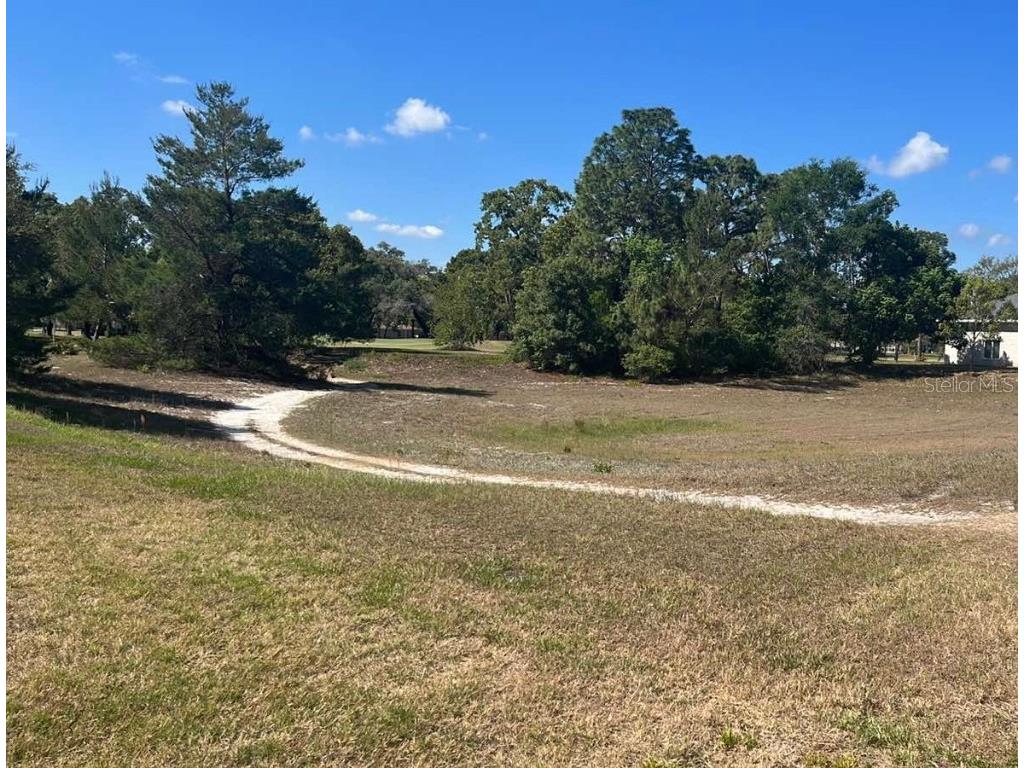 Loretto Street Spring Hill FL 34608 U8204936 image1