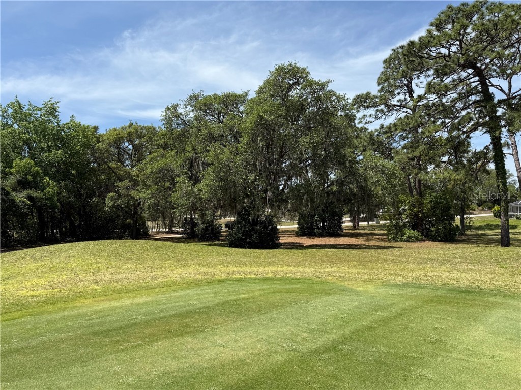 Loretto Spring Hill FL 34608 TB8379151 image1