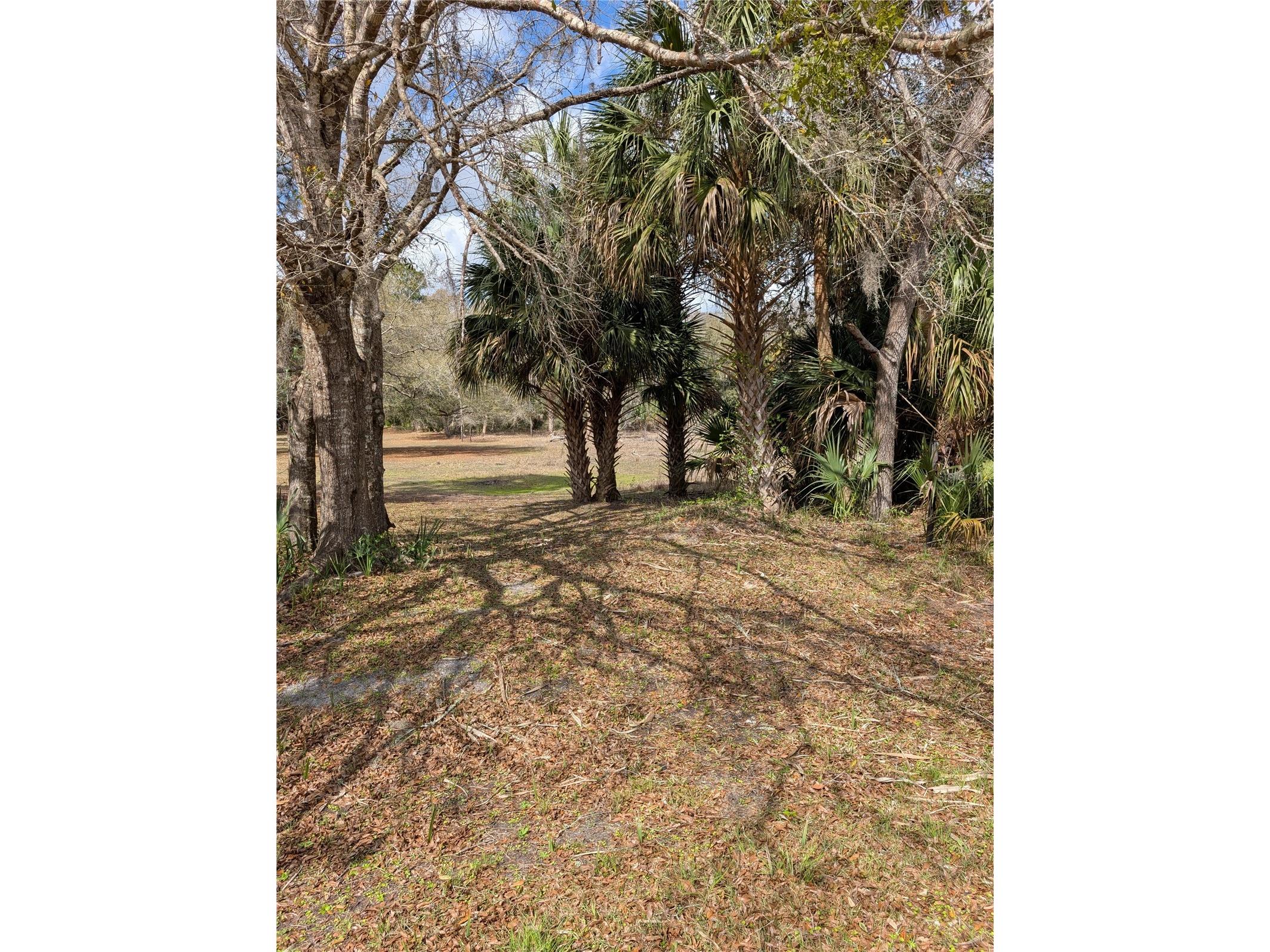 Lorie Street Inglis FL 34449 OM721292 image2