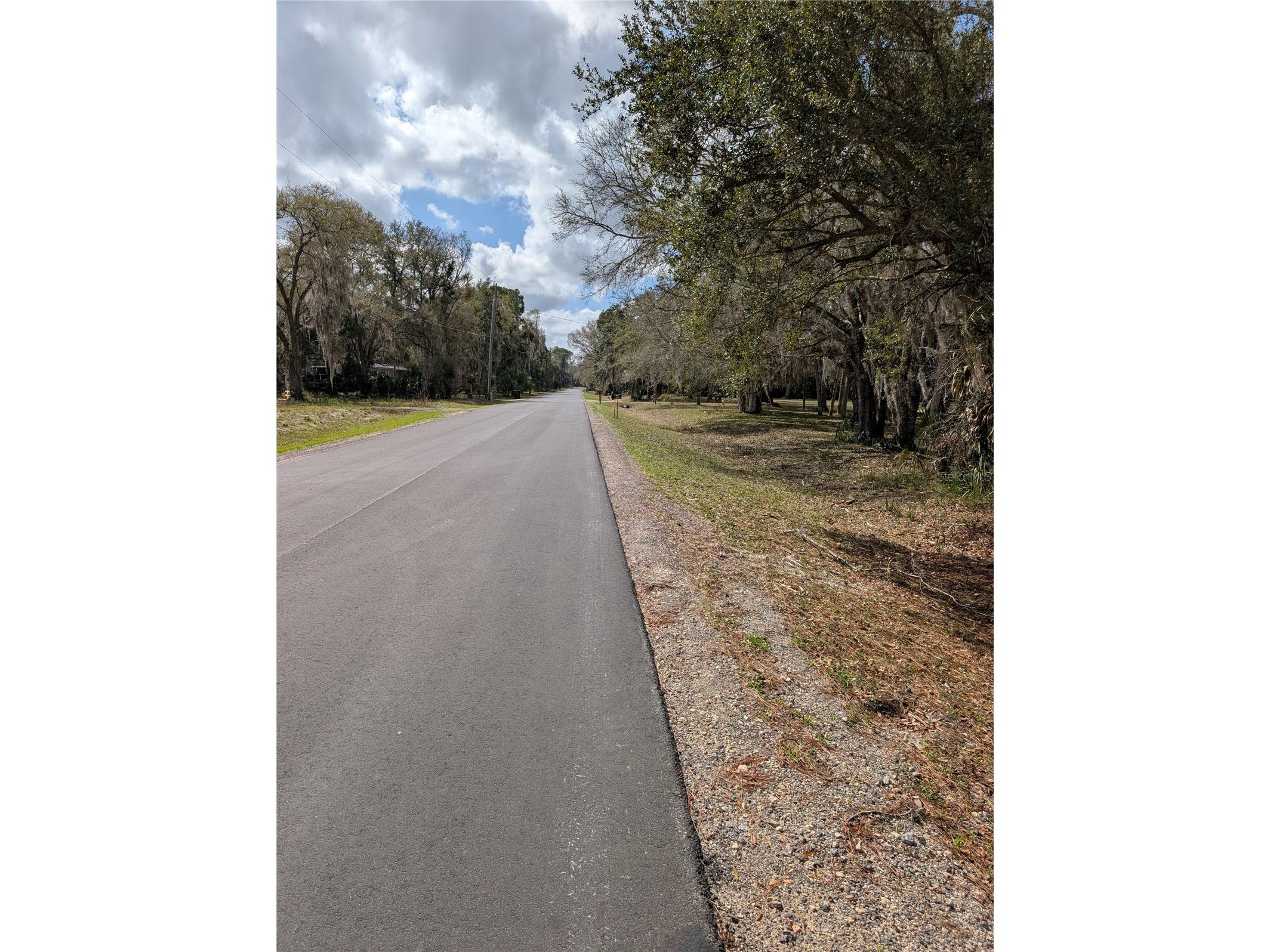 Lorie Street Inglis FL 34449 OM721292 image3