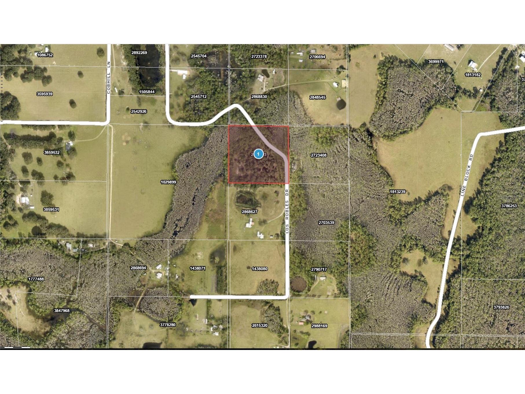 Los Robles Drive Groveland FL 34736 O6390490 image2