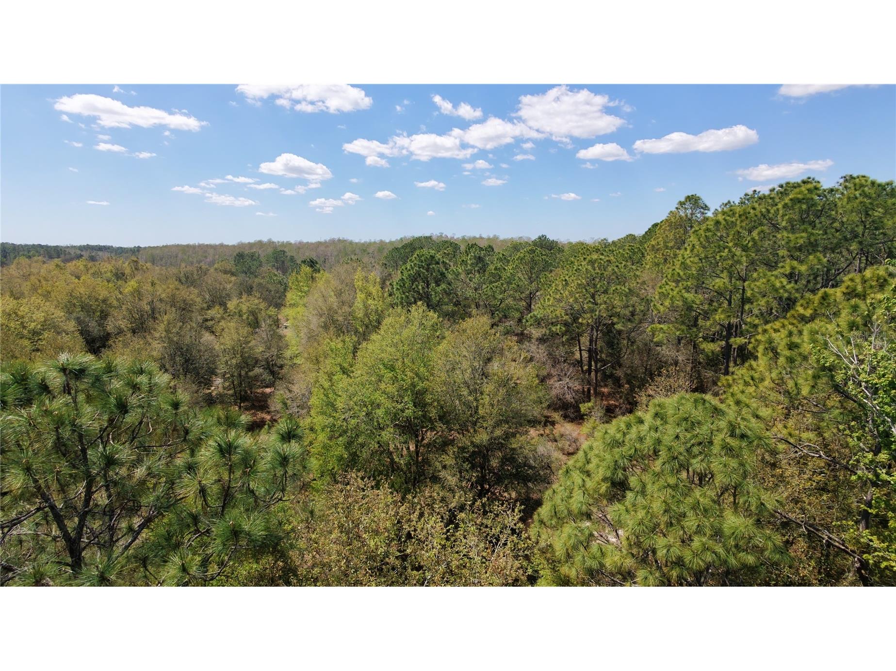 Los Robles Drive Groveland FL 34736 O6390490 image3