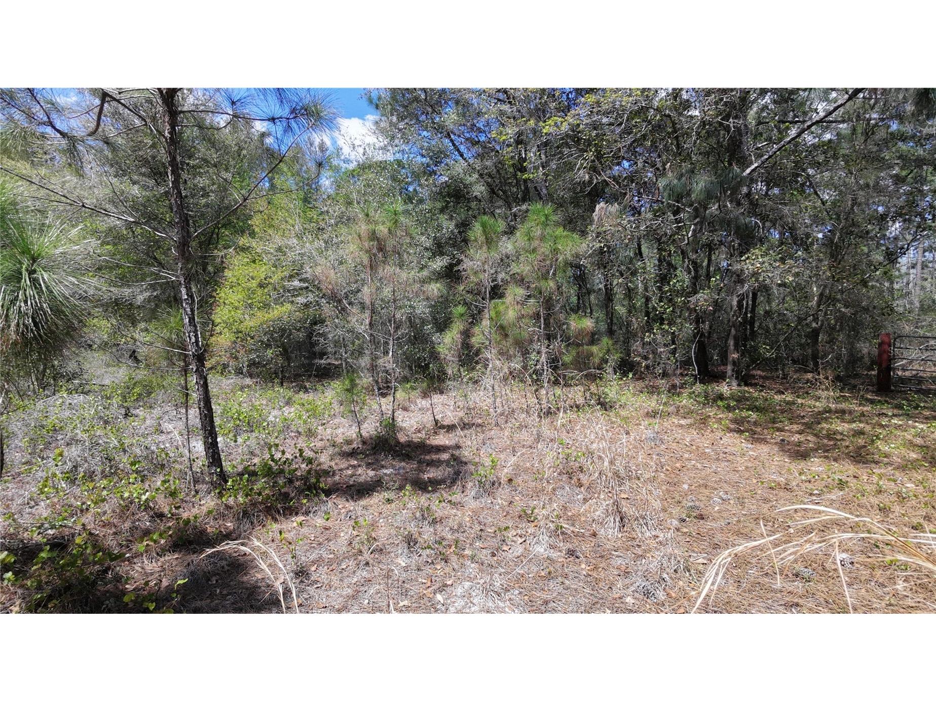 Los Robles Drive Groveland FL 34736 O6390490 image4