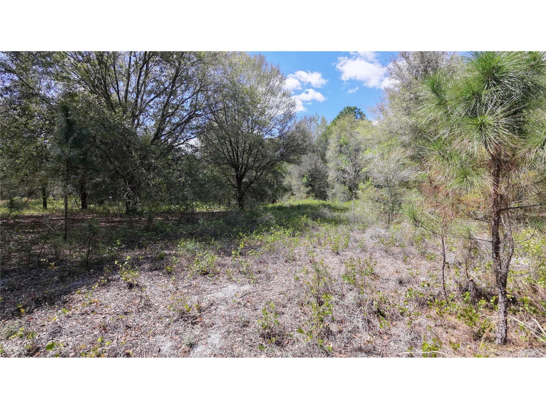 Los Robles Drive Groveland FL 34736 O6390490 image5