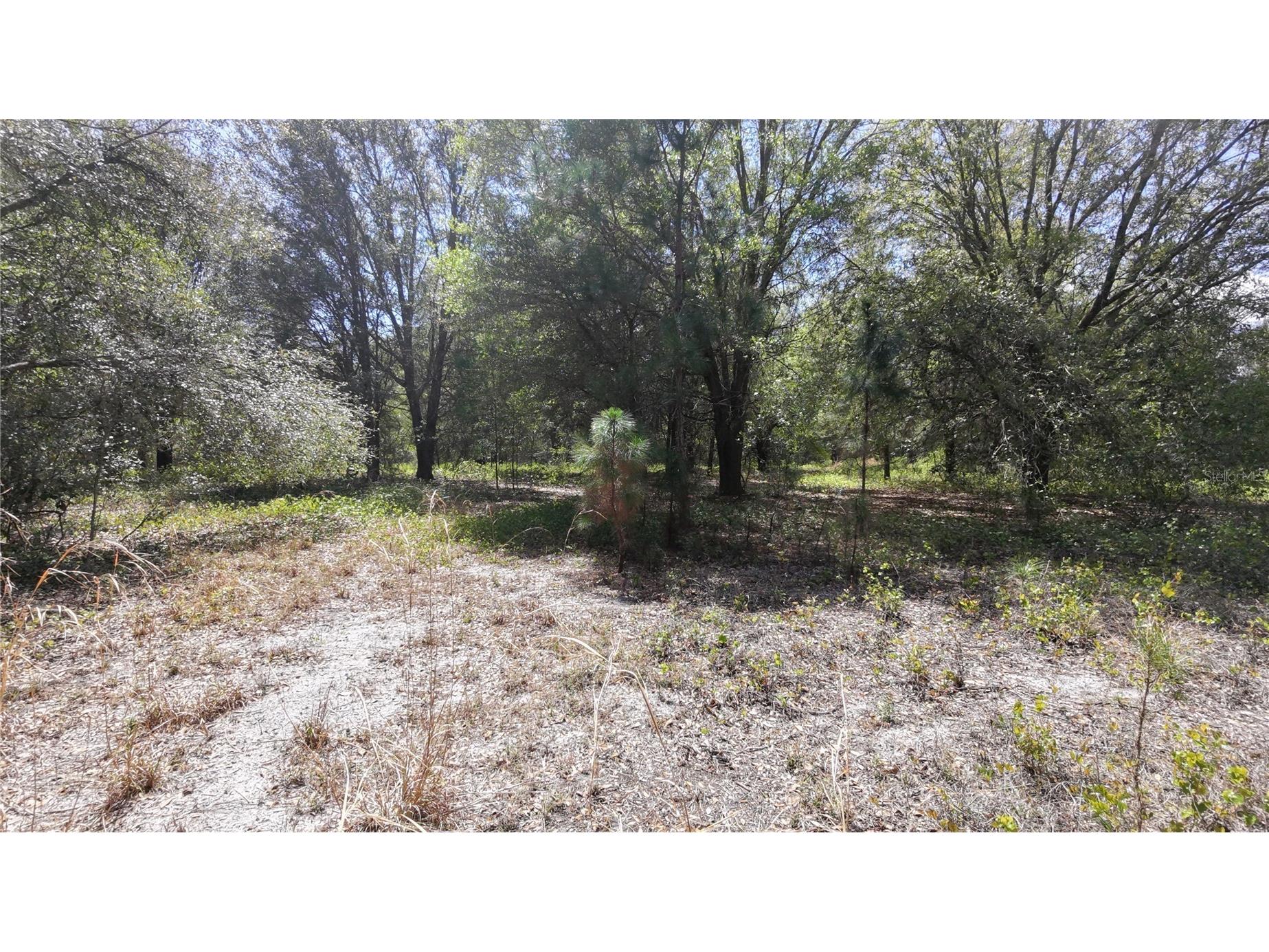 Los Robles Drive Groveland FL 34736 O6390490 image7