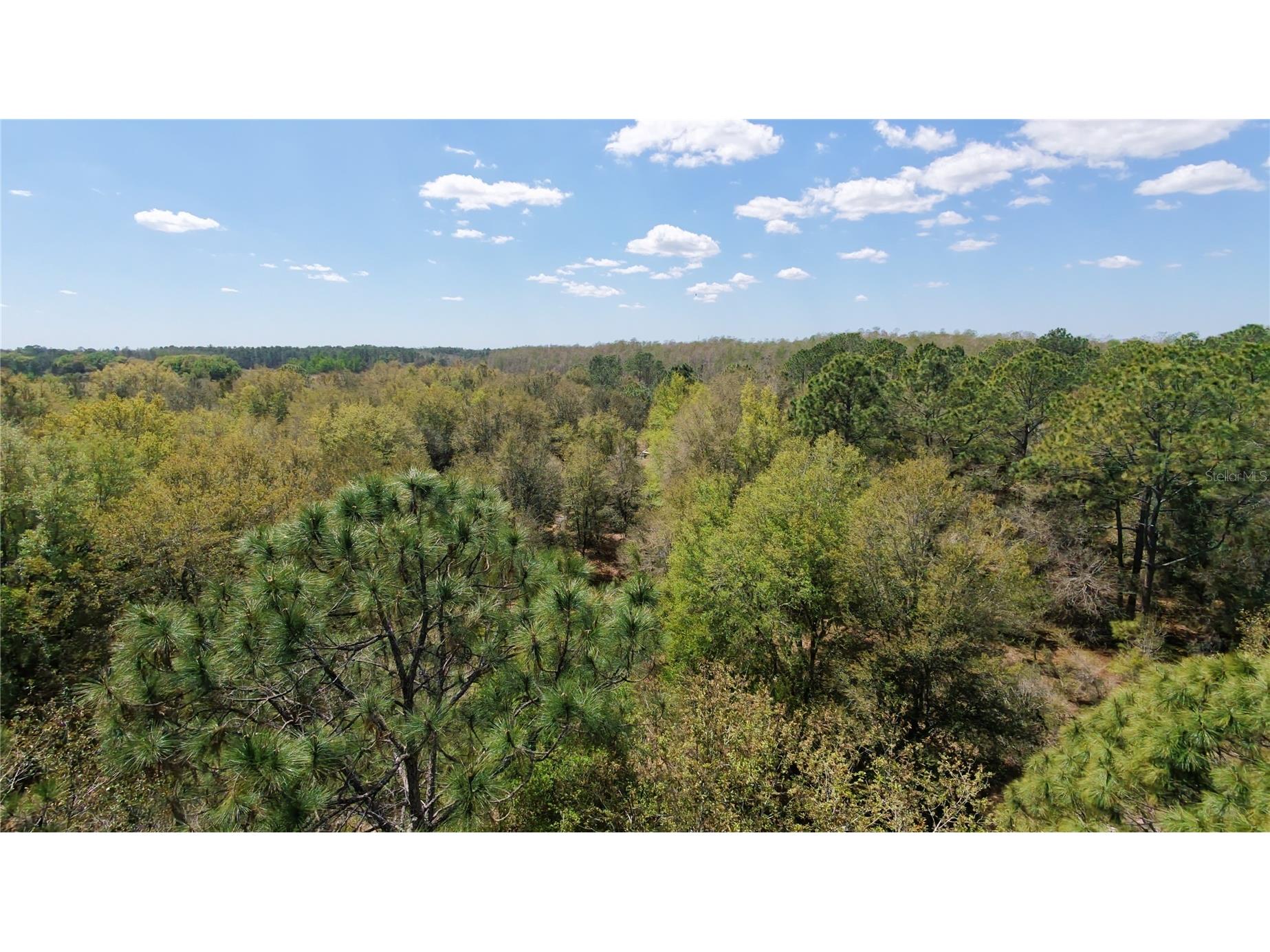 Los Robles Drive Groveland FL 34736 O6390490 image8