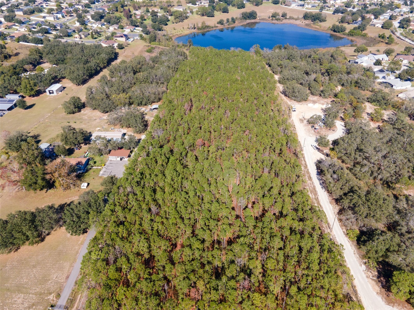 Lost Lake Road Clermont FL 34711 O6413163 image1
