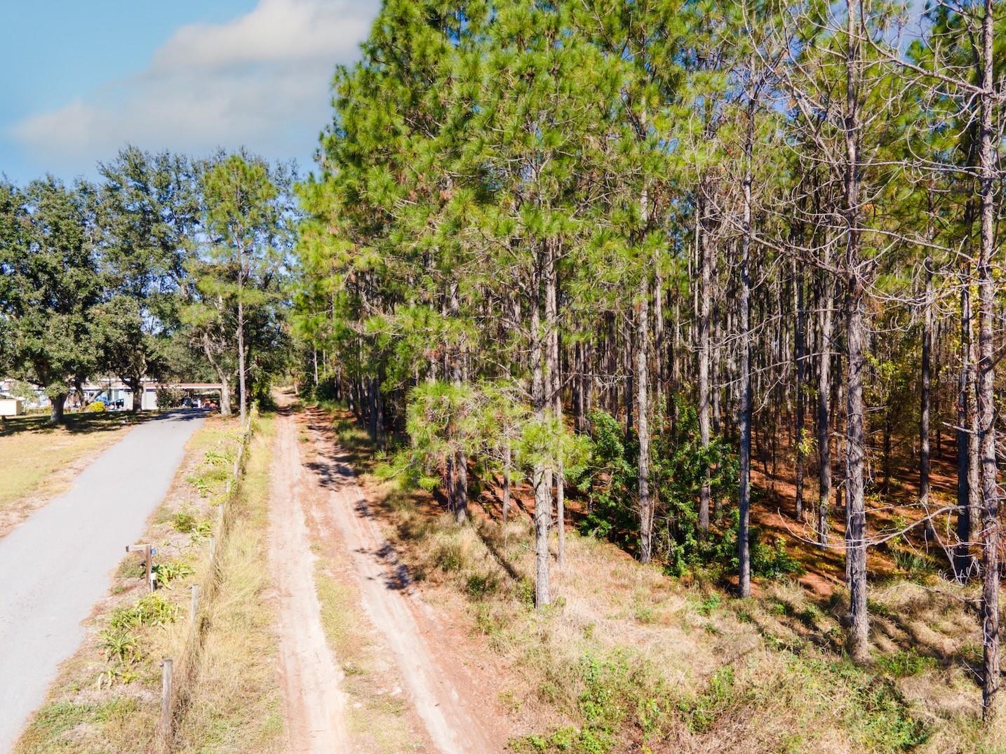 Lost Lake Road Clermont FL 34711 O6413163 image10