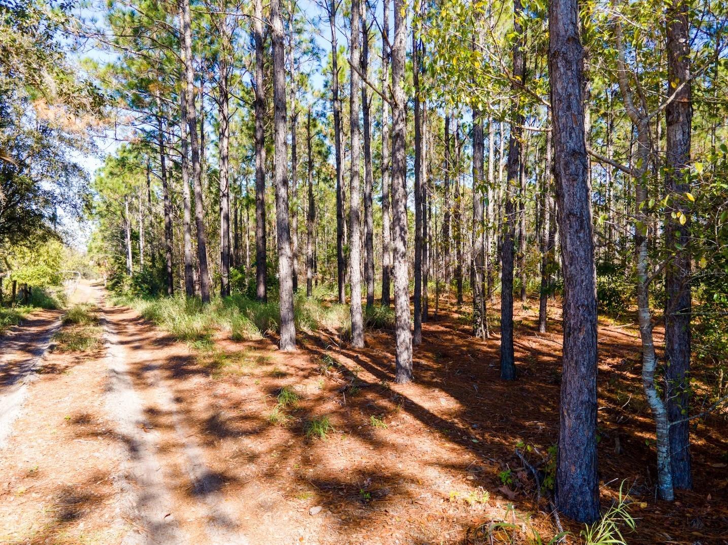Lost Lake Road Clermont FL 34711 O6413163 image11