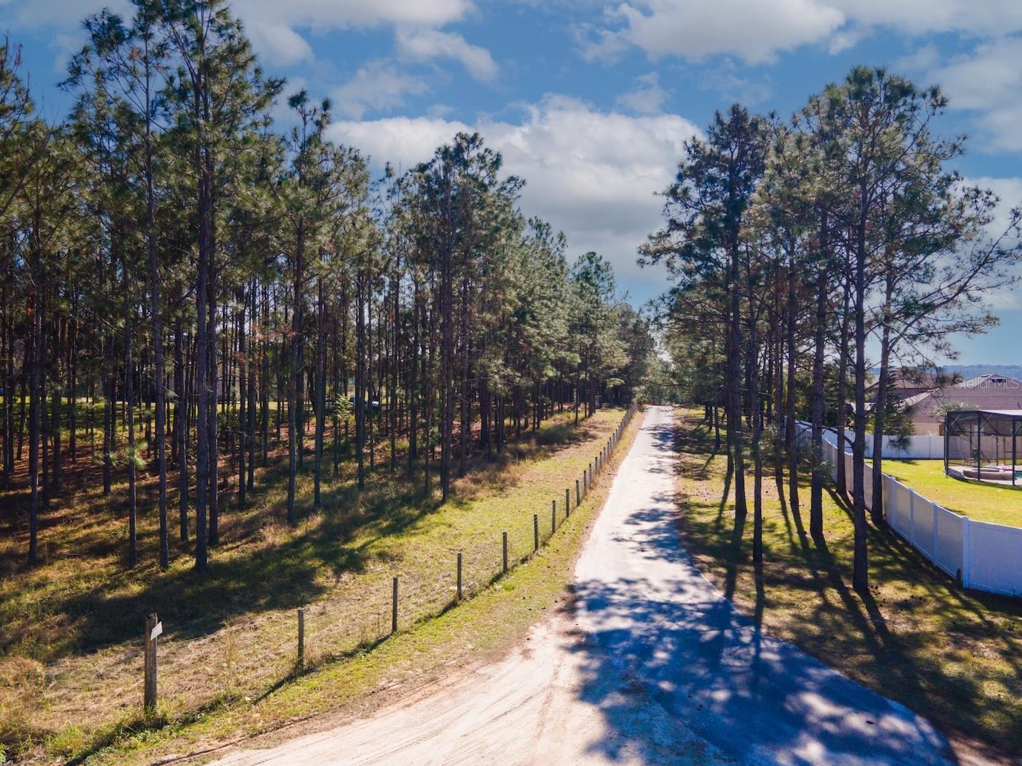 Lost Lake Road Clermont FL 34711 O6413163 image4