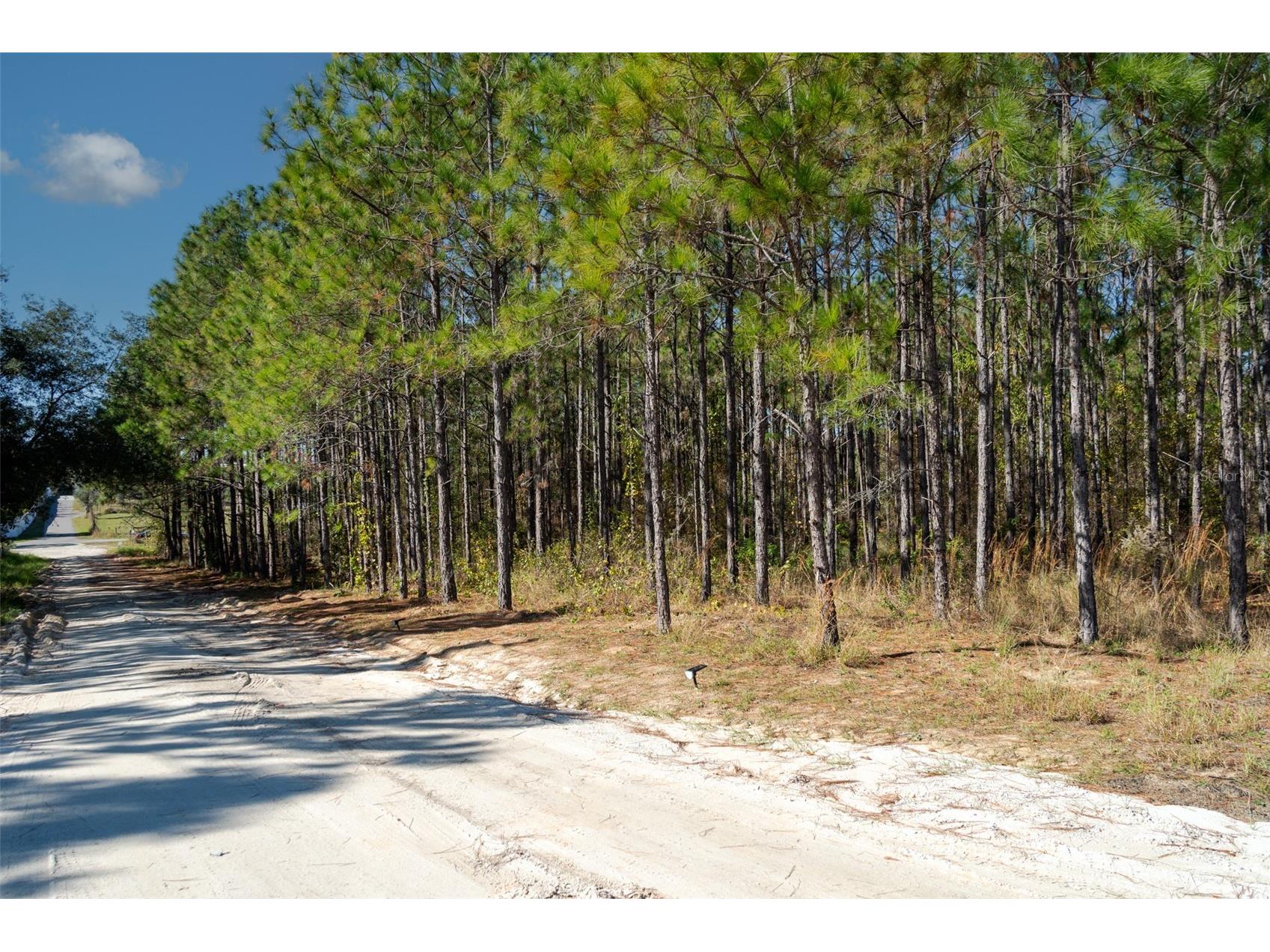 Lost Lake Road Clermont FL 34711 O6413163 image5