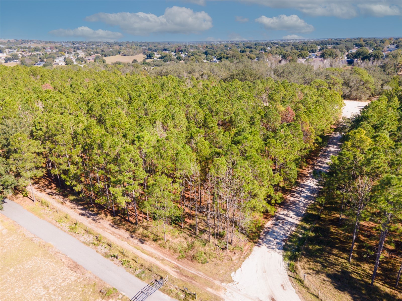 Lost Lake Road Clermont FL 34711 O6413163 image6