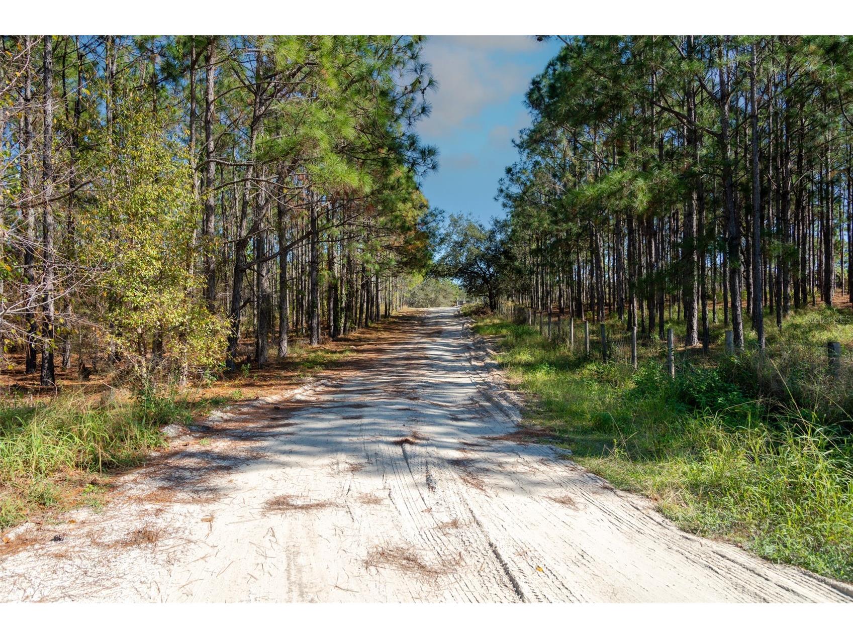 Lost Lake Road Clermont FL 34711 O6413163 image7