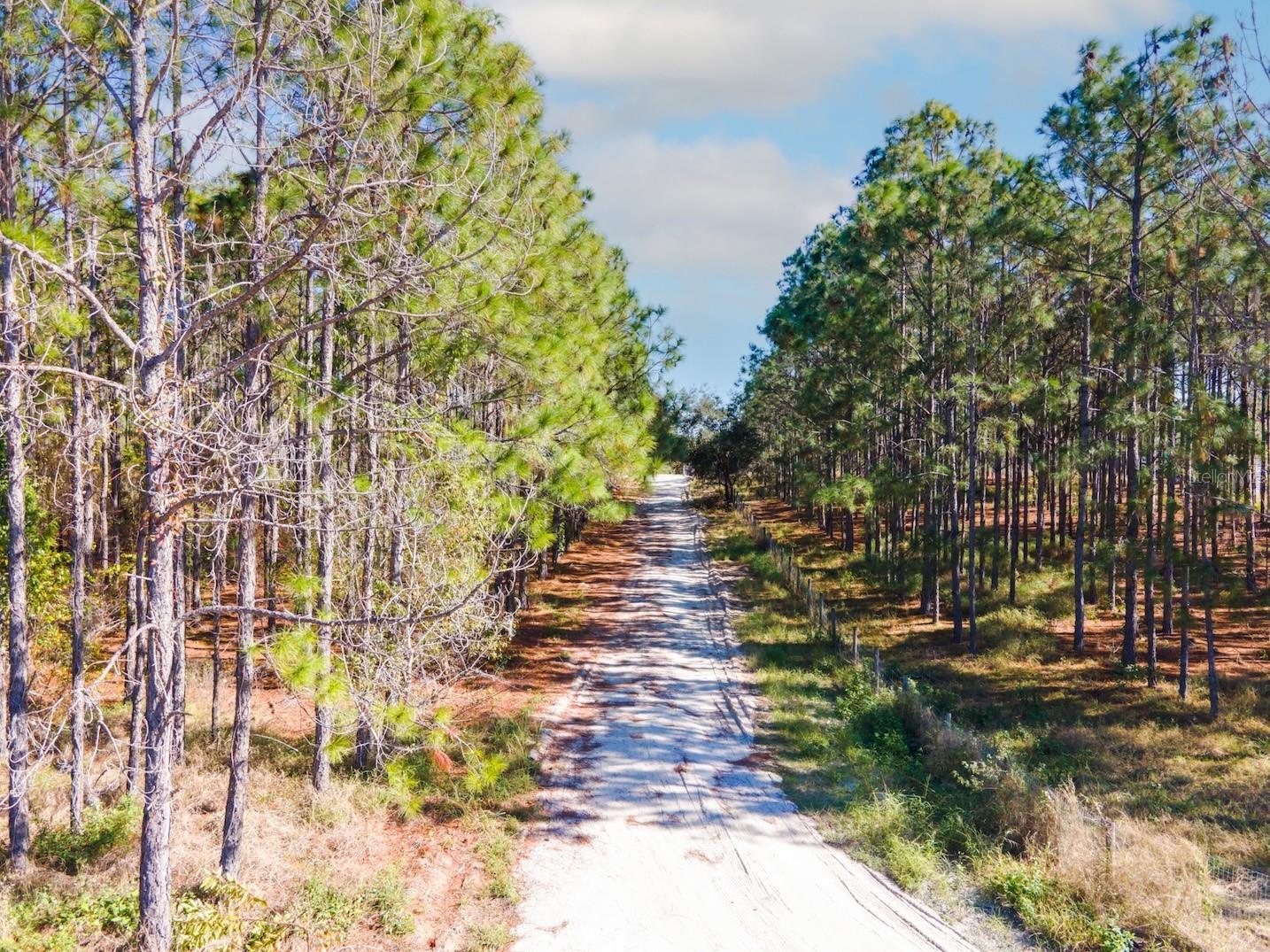 Lost Lake Road Clermont FL 34711 O6413163 image9