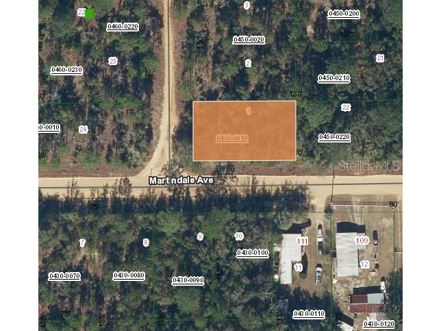 Lot 1 Martinedale Avenue Interlachen FL 32148 O6403636 image1