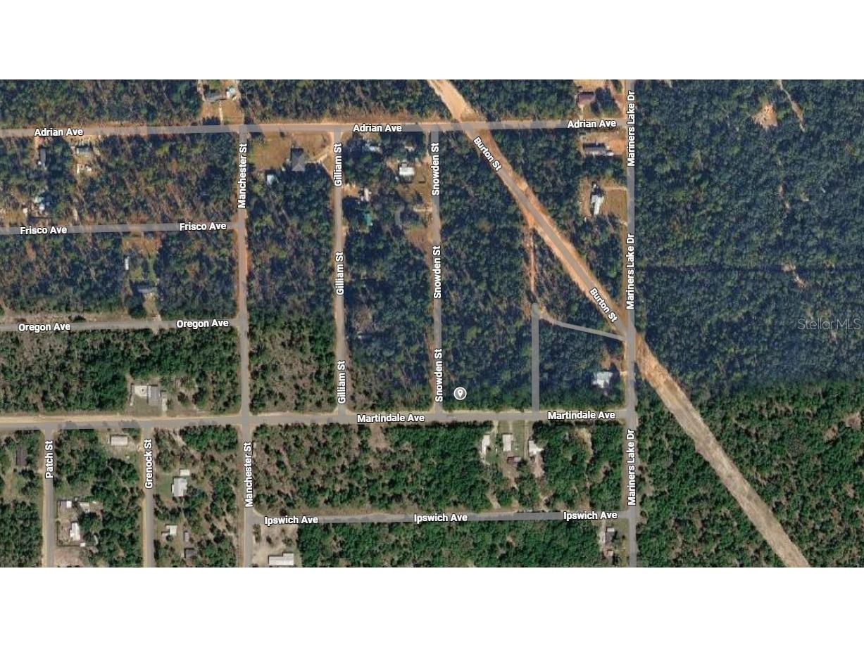 Lot 1 Martinedale Avenue Interlachen FL 32148 O6403636 image3