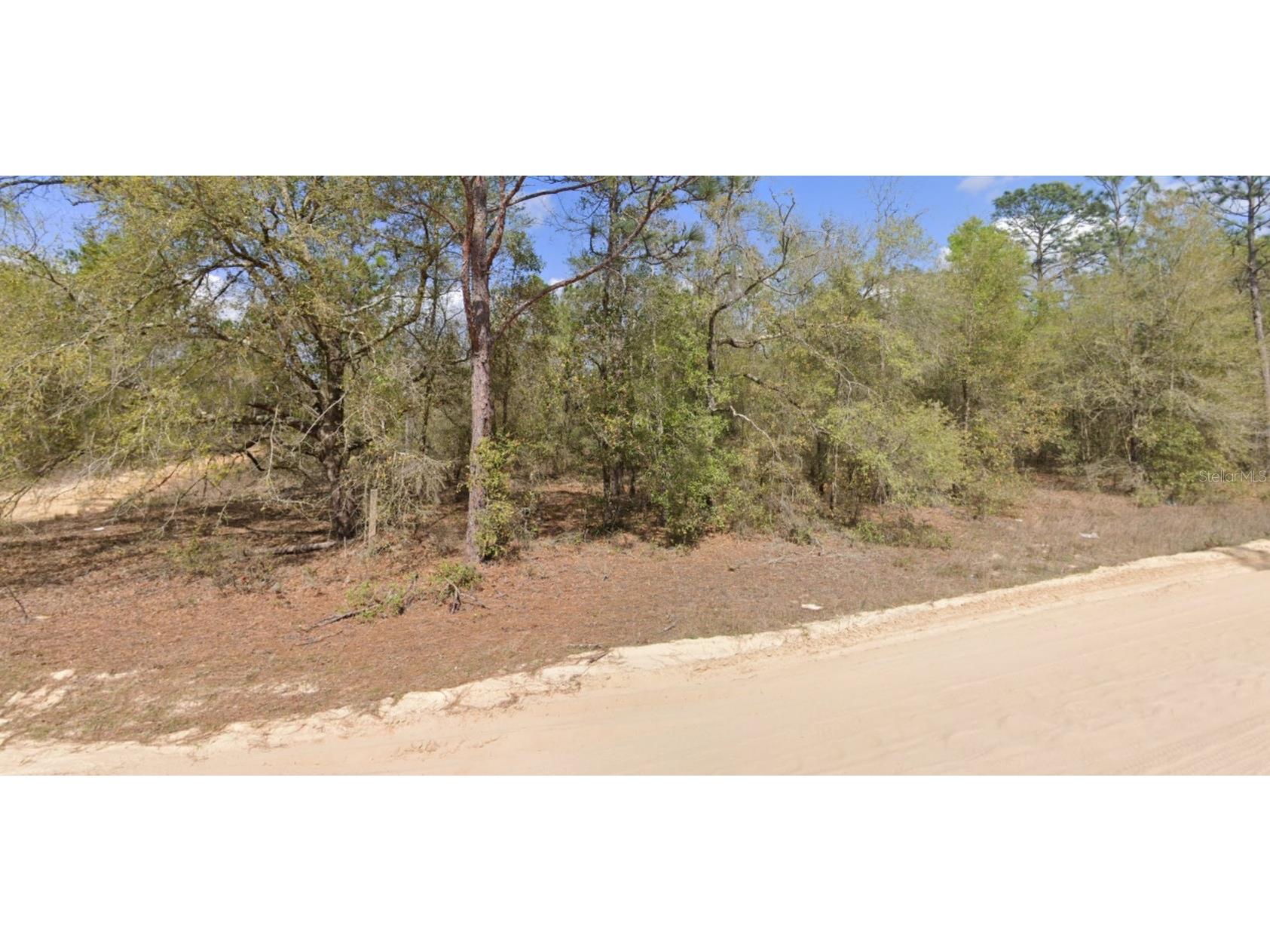 Lot 1 Martinedale Avenue Interlachen FL 32148 O6403636 image5