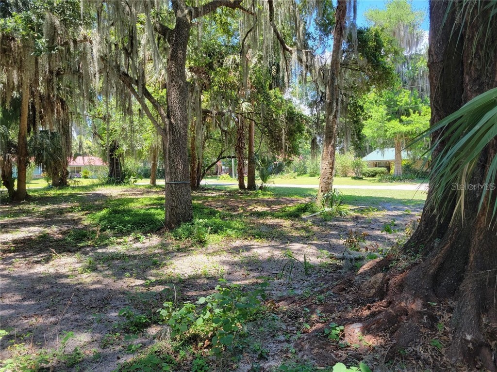 Lot 1 Nw 217th St Micanopy FL 32667 U8229956 image1