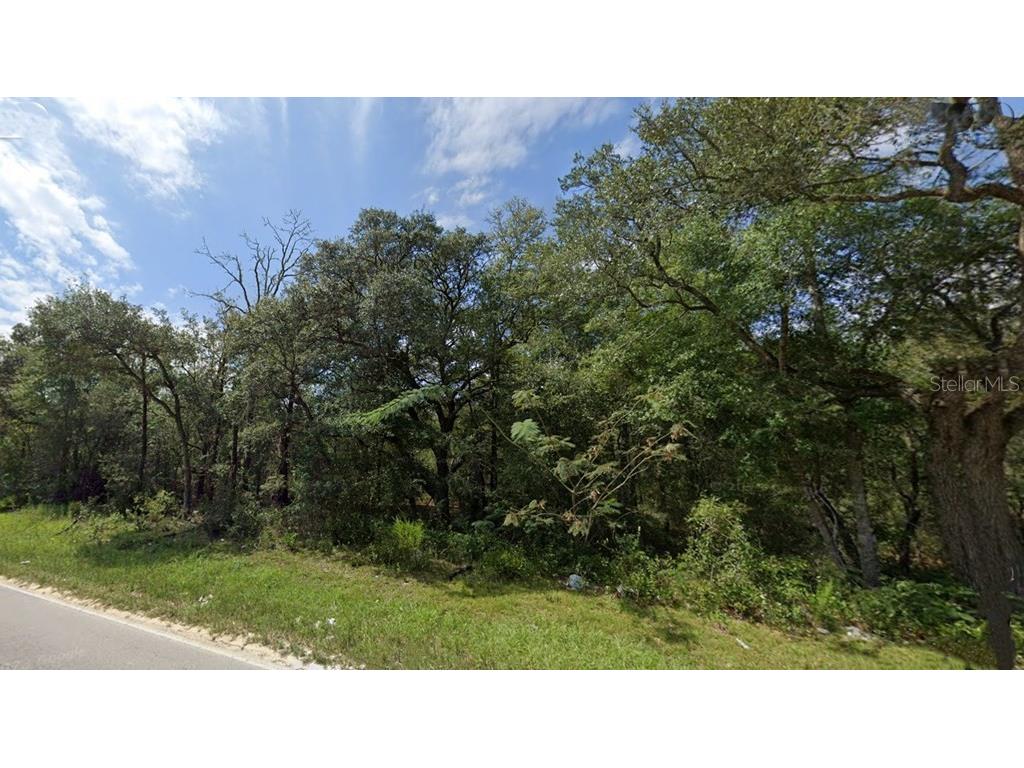 Lot 102 Ne 118th Terrace Bronson FL 32621 GC535677 image2
