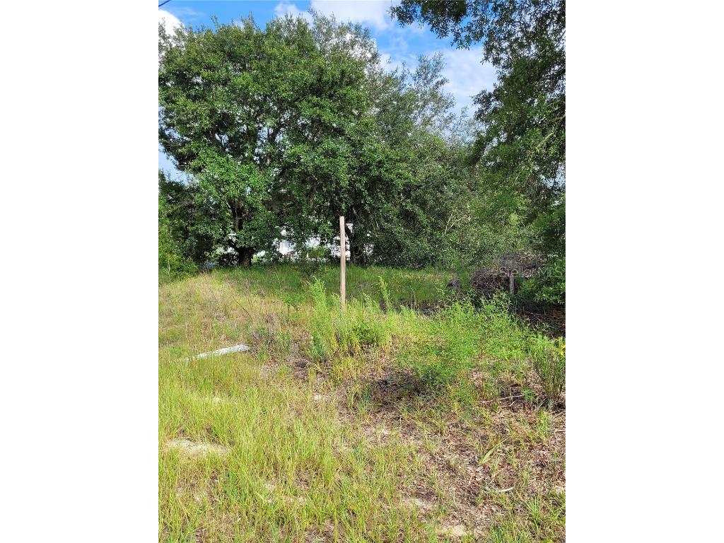 Lot 11 Locust Radial Ocala FL 34472 OM660949 image1
