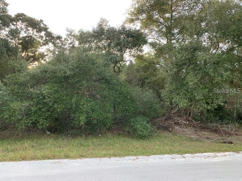 Lot 11sw 27th Ct Ocala FL 34473 O6121703 image1