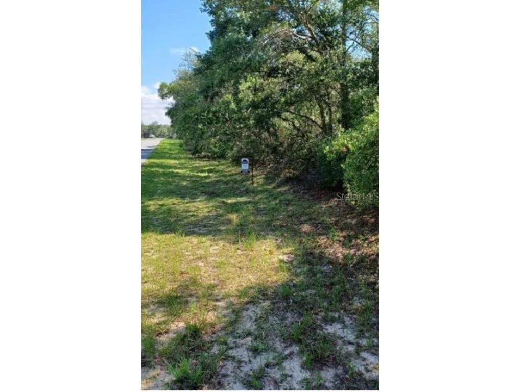 Lot 11sw 37 Ave Ocala FL 34473 O6121754 image1