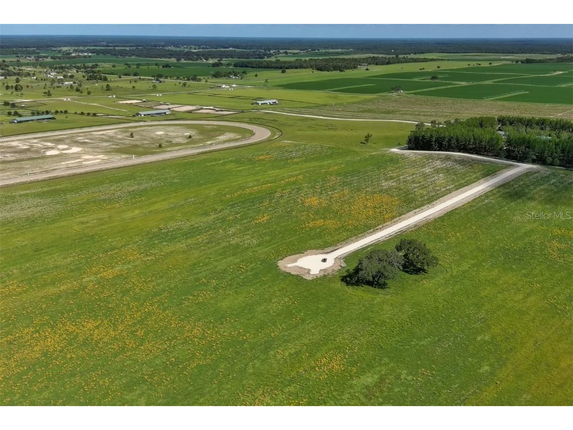 Lot 12 Ne 120th Avenue Williston FL 32696 OM645547 image1