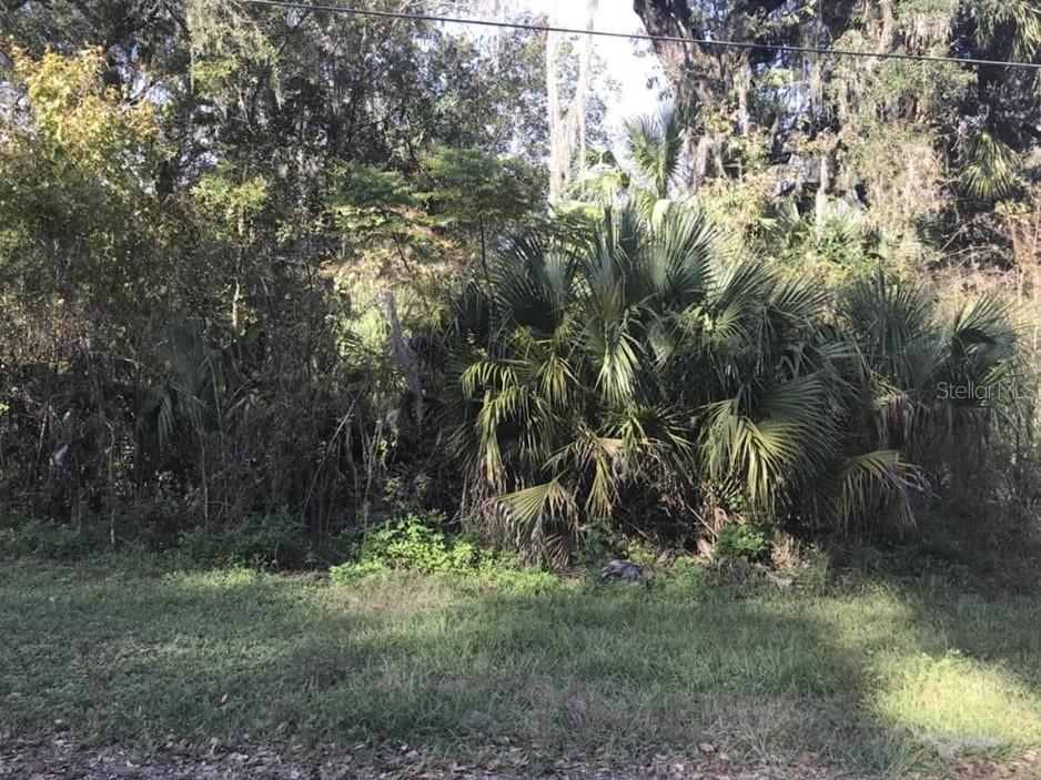 Lot 13 Lake Panasoffkee FL 33538 O6338653 image1
