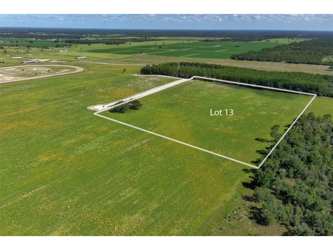 Lot 13 Ne 120th Avenue Williston FL 32696 OM645545 image1