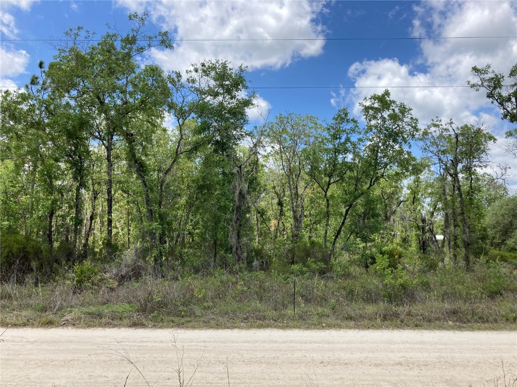 Lot 13 On Ne 108th Terr Bronson FL 32621 GC513022 image1