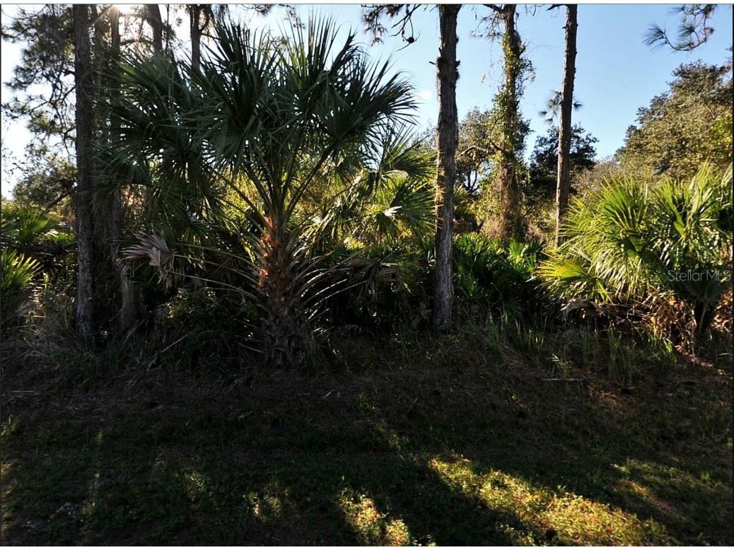 Lot 17 Ruiz Street North Port FL 34286 C7506881 image1