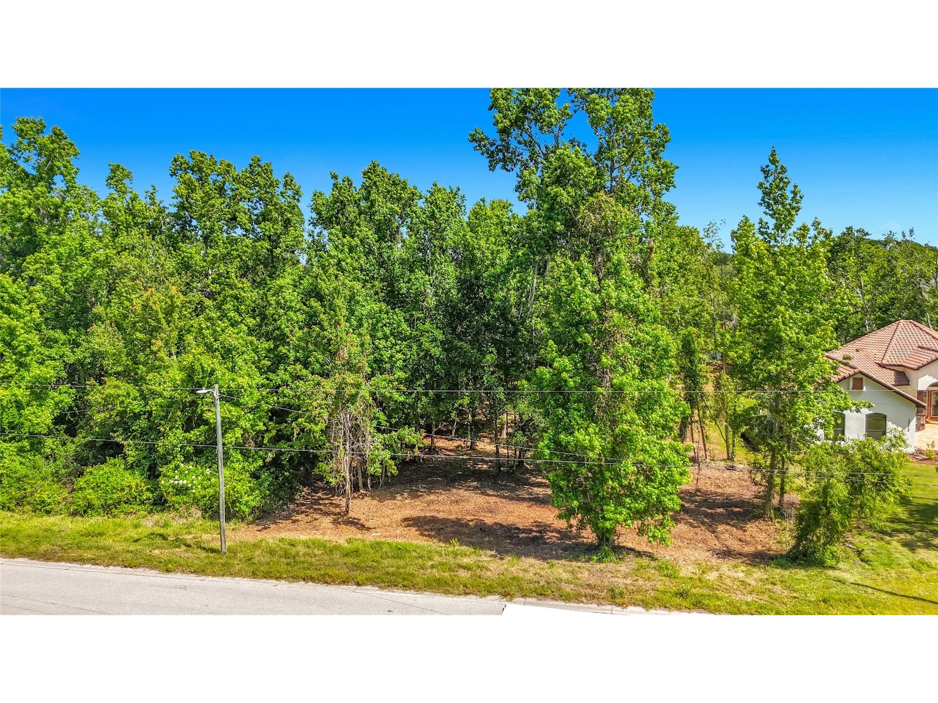Lot 19 Lake Hills Dr. Riverview FL 33569 S5149016 image1