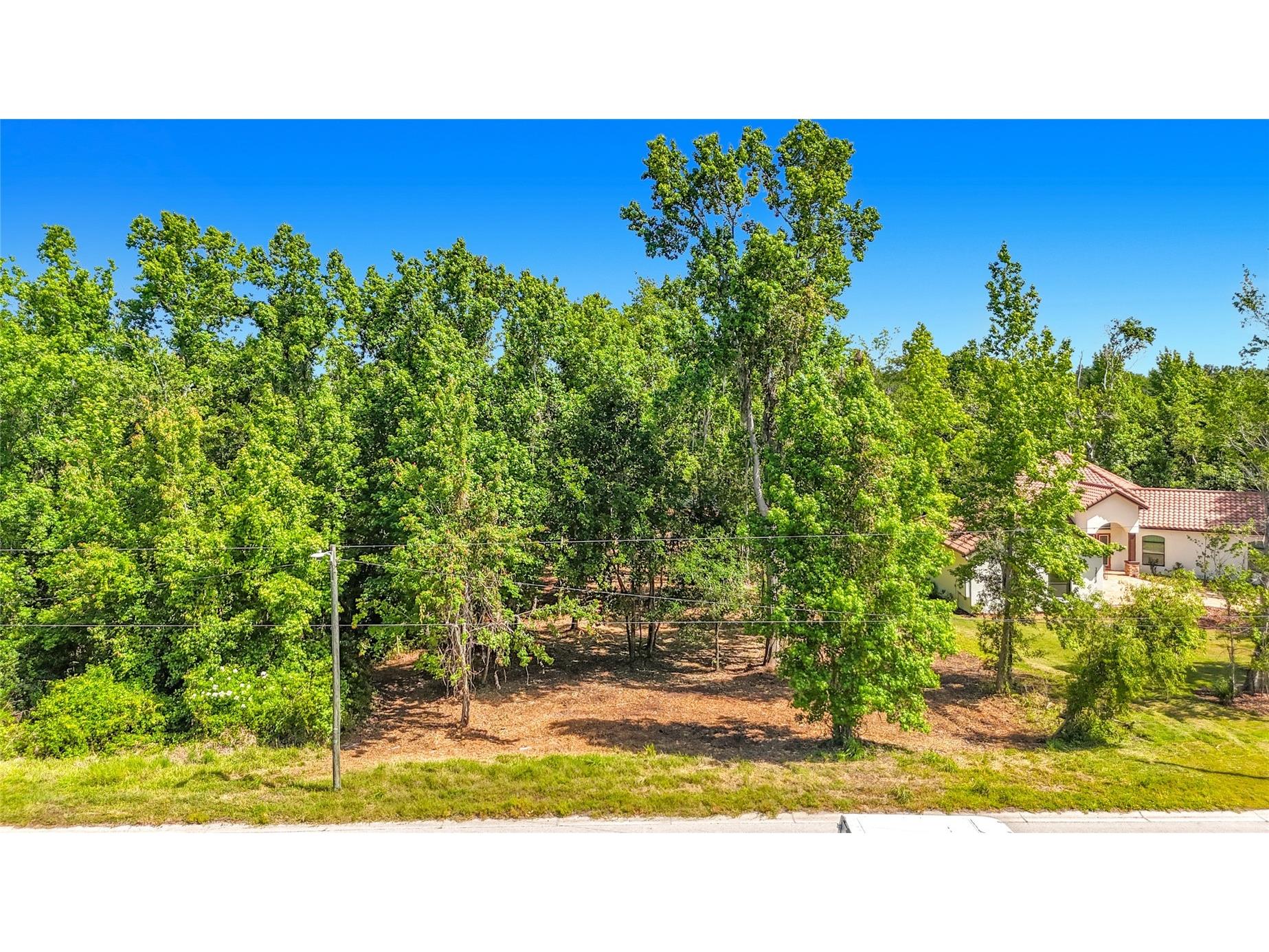 Lot 19 Lake Hills Dr. Riverview FL 33569 S5149016 image10