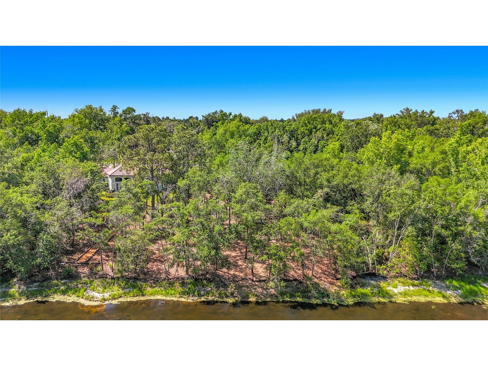 Lot 19 Lake Hills Dr. Riverview FL 33569 S5149016 image11